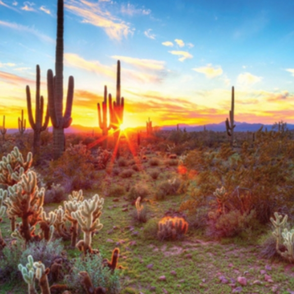 Meet your Posher, Toi - Picture 1 of 2